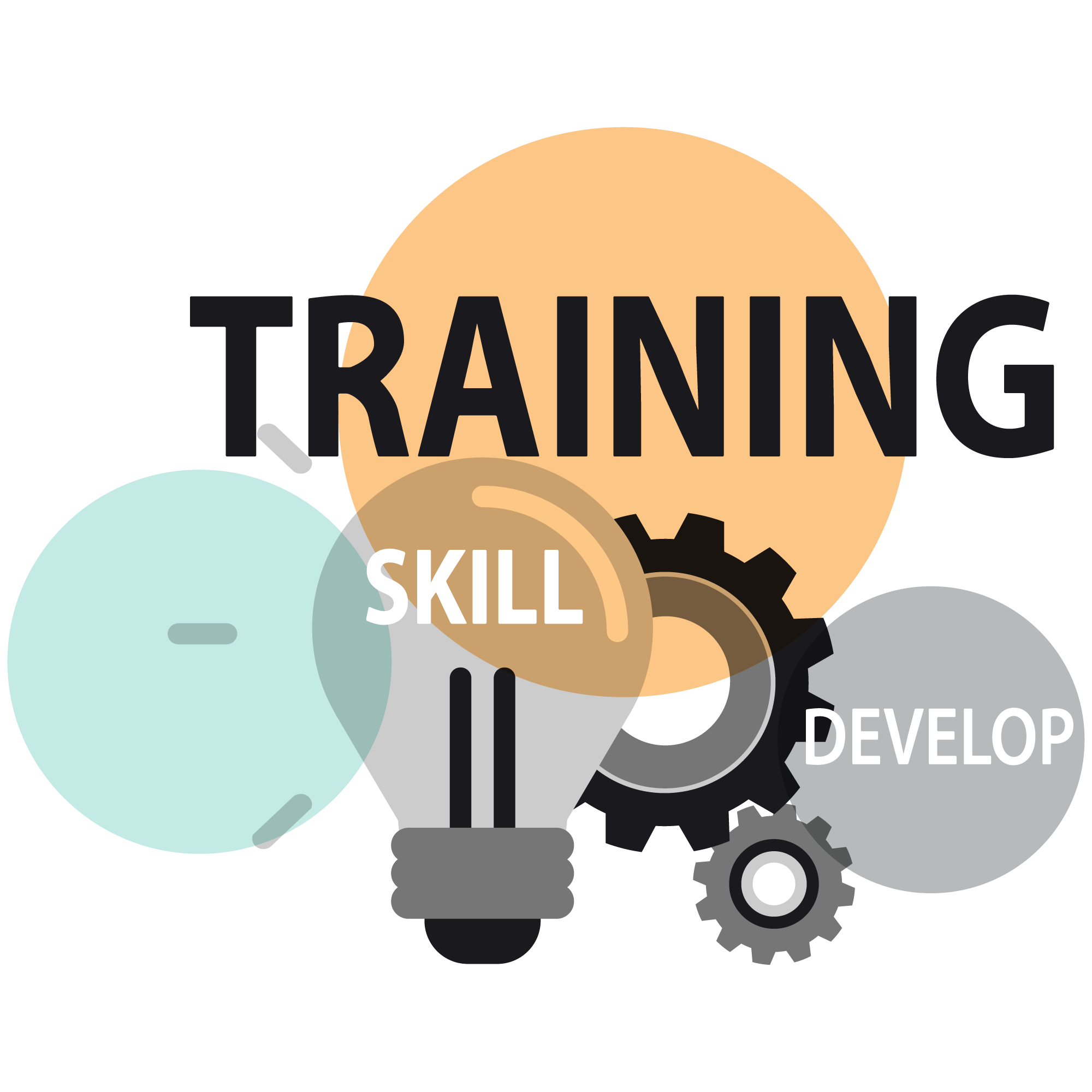 Image of Training Format